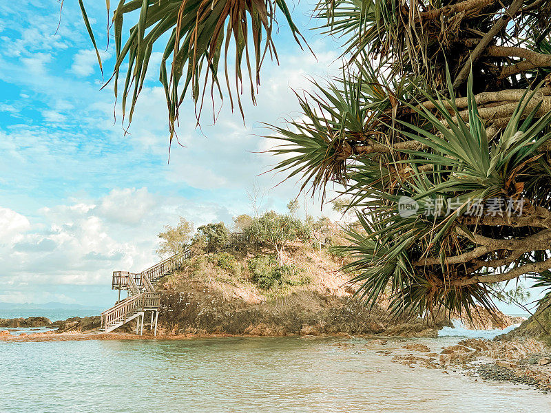 山口观景台和Pandanus Palms